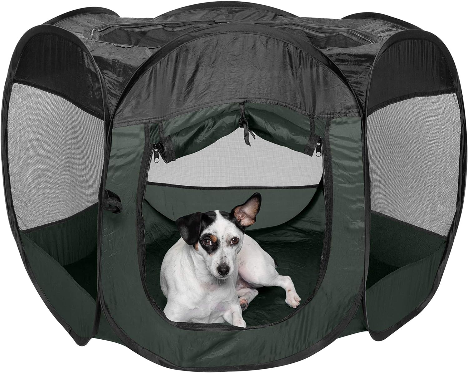 Large hotsell pet tent