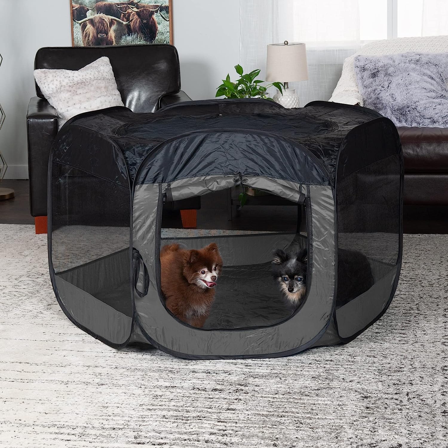 Furhaven Pop Up Playpen Pet Tent Playground - Gray, Small